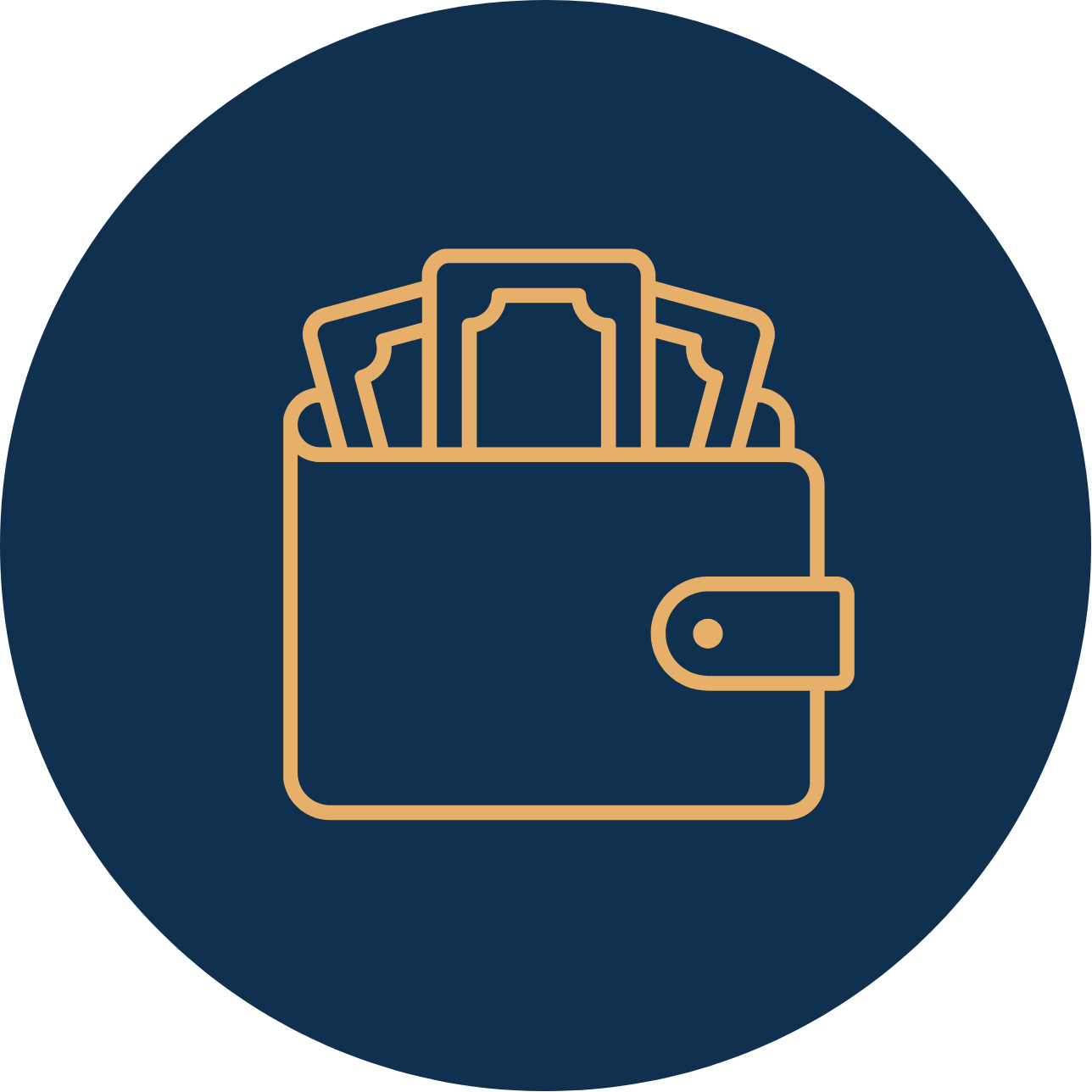 Kingsview Partners_Backgrounds (53)